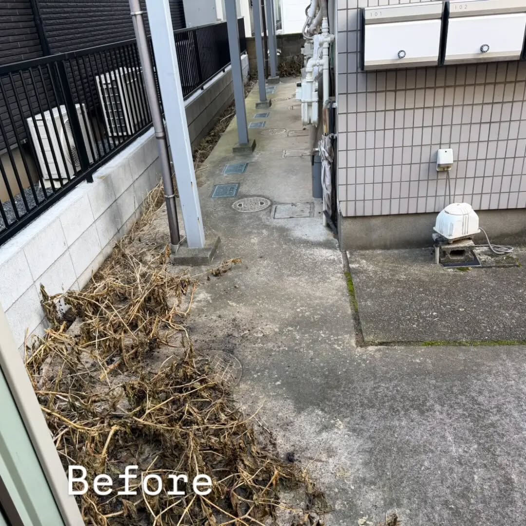 市川市のアパートでメンテナンス工事を行いました✨